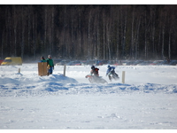 13.3.2011 - Kuvia Konneveden SM-jratakilpailusta - Matti Hnninen